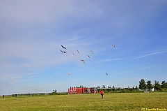 Venice kite festival_0625